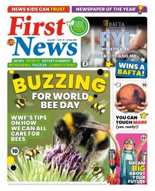 First News