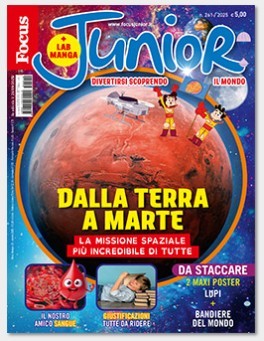 Focus junior